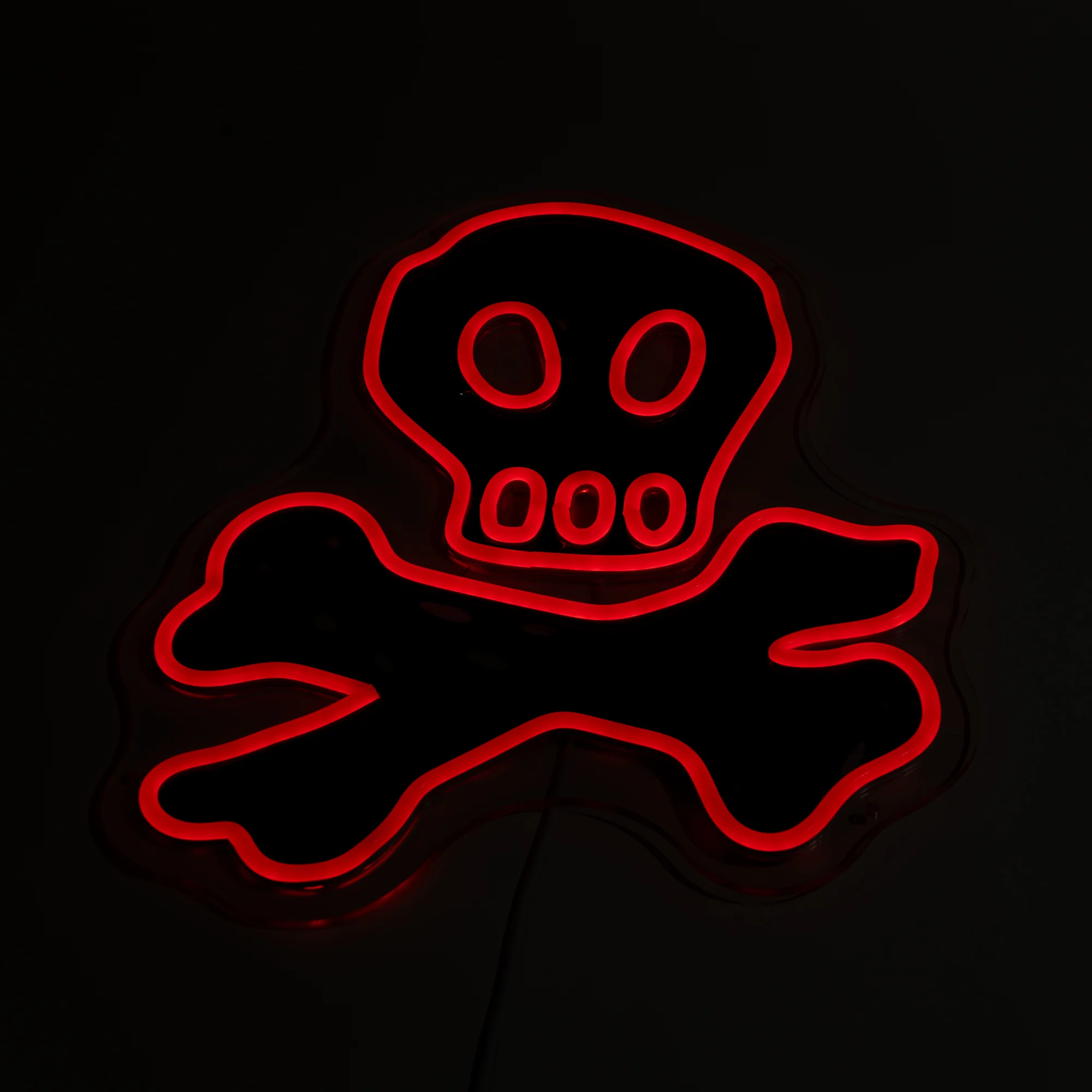 Skull Logo LED Light - Image 4